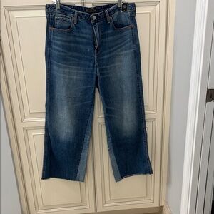 Abercrombie & Fitch Dark Blue Cropped Stovepipe Jean Sz 31